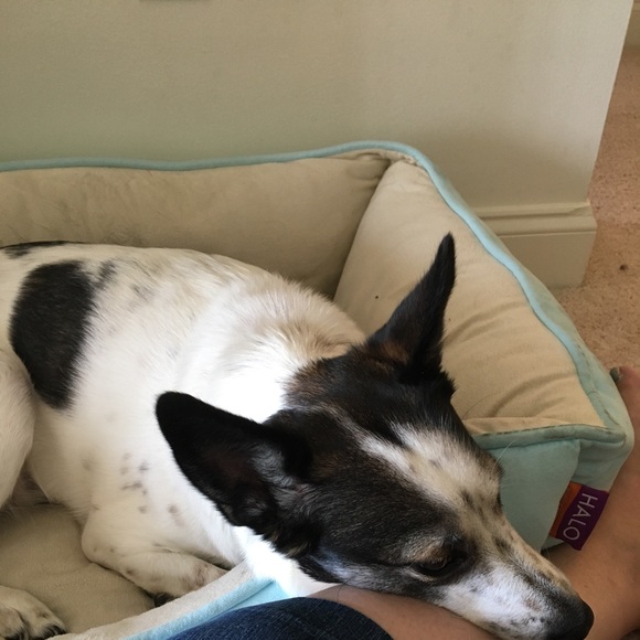 Meet your Posher, Debra - Picture 3 of 4